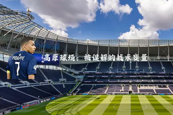 高原球场：被误解的战术变量